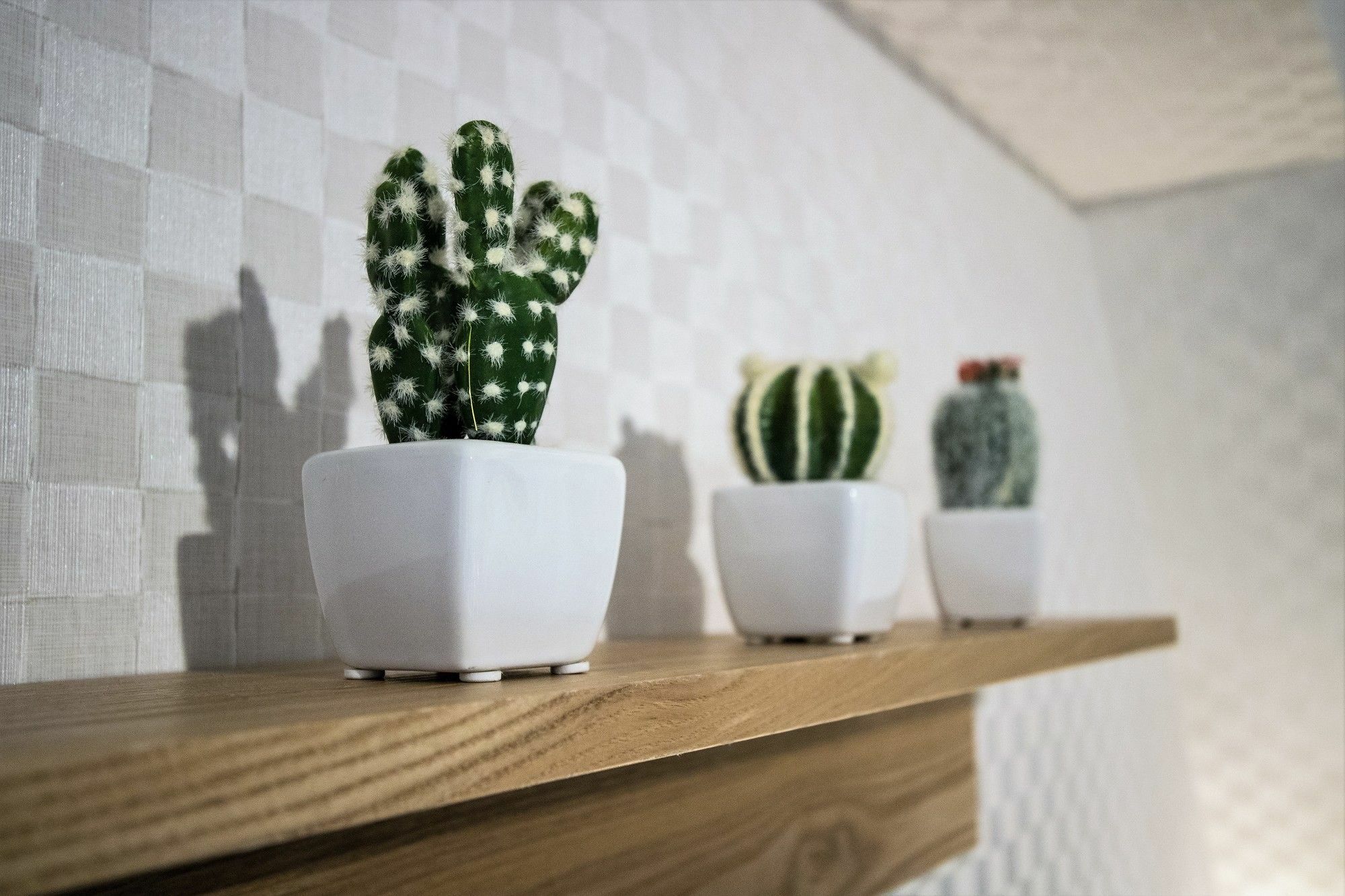 Petit Grande Homes Tokyo Luaran gambar